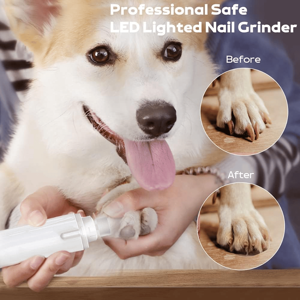 2 IN 1 Pet Nail Clipper, with LED Light for Pet with the light Nails,Precise Cat & Dog Nail Trimmer For Safe
